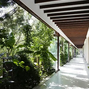 The Lifeco Bodrum Well-being Detox Center And Vegan (adults Only) Göltürkbükü